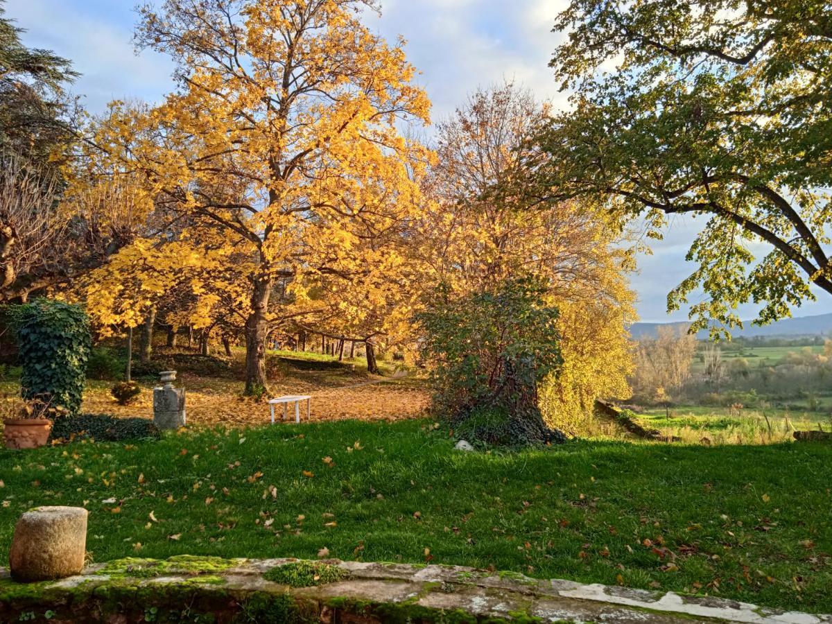 Maison Calme Avec Piscine Entouree De Son Parc Quintenas Экстерьер фото